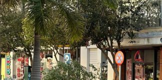 El viento tumba el mástil de la bandera de Andalucía en la rotonda de la Avda. de Europa de Motril y caída de árboles