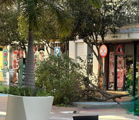 El viento tumba el mástil de la bandera de Andalucía en la rotonda de la Avda. de Europa de Motril y caída de árboles