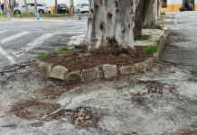 El Grupo Municipal PSOE denuncia el deterioro y la falta de mantenimiento en la entrada del Cementerio Municipal de Motril