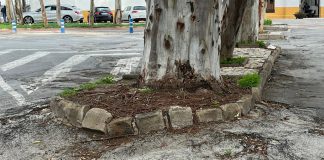 El Grupo Municipal PSOE denuncia el deterioro y la falta de mantenimiento en la entrada del Cementerio Municipal de Motril