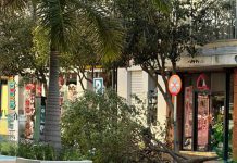 El viento tumba el mástil de la bandera de Andalucía en la rotonda de la Avda. de Europa de Motril y caída de árboles