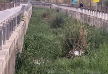 Centrados en Motril denuncia el abandono de la Rambla de las Brujas