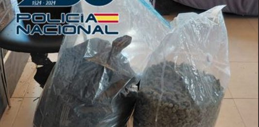 Operaciones antidroga en Motril, Granada y Baza durante febrero
