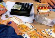 Desarticulada una trama empresarial dedicada a proveer material para plantaciones de marihuana a gran escala