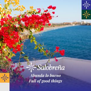 BANNER SALOBREÑA 2