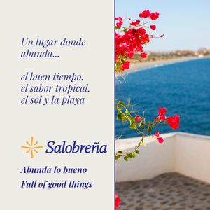 BANNER SALOBREÑA 5