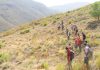 El Ayuntamiento de Órgiva destaca la labor de Semillistas en la reforestación de Sierra de Lújar