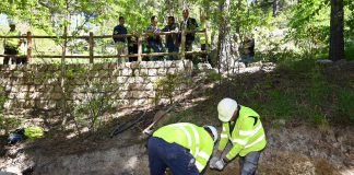 Nueva temporada en el Jardín Botánico Hoya de Pedraza mientras avanzan las obras de mejora