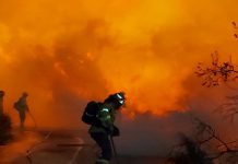 La EMA informa de la prohibición de barbacoas y otras actividades en zonas forestales