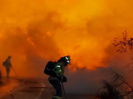 La EMA informa de la prohibición de barbacoas y otras actividades en zonas forestales