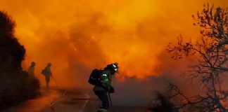 La EMA informa de la prohibición de barbacoas y otras actividades en zonas forestales