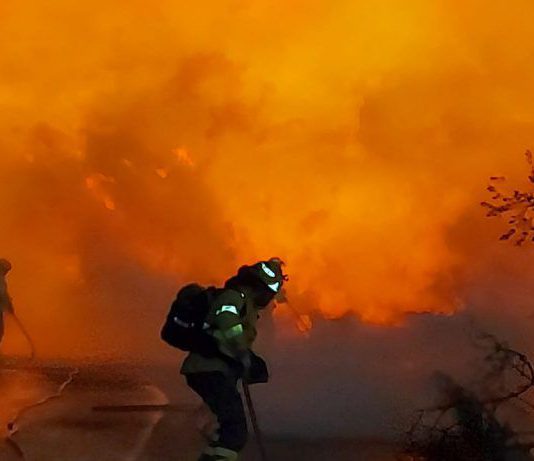La EMA informa de la prohibición de barbacoas y otras actividades en zonas forestales