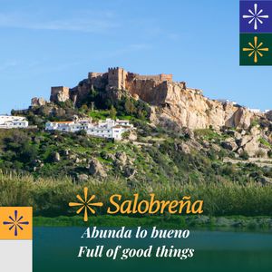 BANNER SALOBREÑA 3