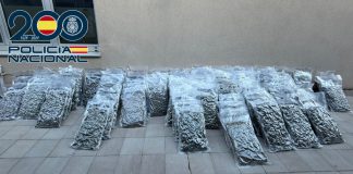 Mayo se salda con 13 operaciones y 37 detenciones en Motril, Granada y Baza, con la aprehensión de más de 3.400 plantas de marihuana y casi 2 kilos de hachís