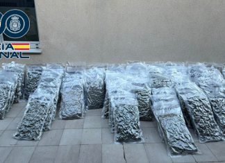 Mayo se salda con 13 operaciones y 37 detenciones en Motril, Granada y Baza, con la aprehensión de más de 3.400 plantas de marihuana y casi 2 kilos de hachís