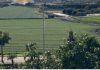 Desde Buxus creemos que una ciudad es mucho más que un ente en perpetuo crecimiento