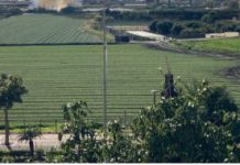 Desde Buxus creemos que una ciudad es mucho más que un ente en perpetuo crecimiento
