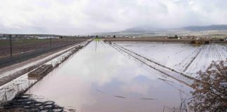 El Gobierno abona cerca de 74 millones de euros a más de 7.200 agricultores granadinos afectados por las borrascas