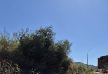 El PSOE exige frenar el proyecto de planta de alquitrán en La Herradura