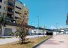 El área de Parques y Jardines renueva más de medio centenar de árboles en distintos puntos de Motril