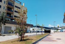 El área de Parques y Jardines renueva más de medio centenar de árboles en distintos puntos de Motril