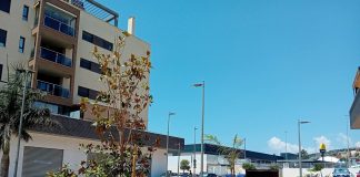 El área de Parques y Jardines renueva más de medio centenar de árboles en distintos puntos de Motril
