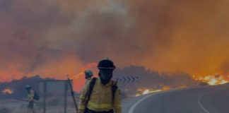 El incendio en Los Gallardos (Almería) deja once personas fallecidas y ocho heridas