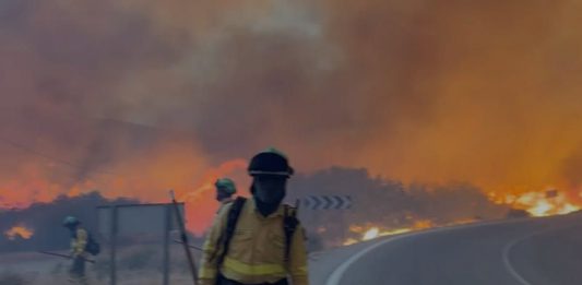 El incendio en Los Gallardos (Almería) deja once personas fallecidas y ocho heridas