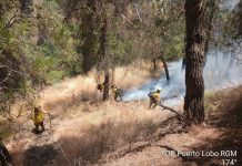 Incendio en un paraje del Sacromonte en Granada